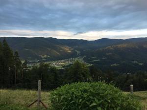 - Vistas al valle de las montañas en Domačija KOHOVO, en Lovrenc na Pohorju