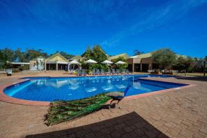 un oiseau se tient à côté d'une piscine dans l'établissement DoubleTree by Hilton Alice Springs, à Alice Springs