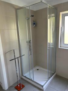 a shower with a glass enclosure in a bathroom at Mountain View 