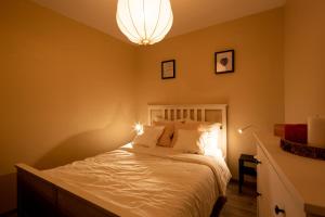 - une chambre dotée d'un lit avec des draps blancs et un lustre dans l'établissement Appartement entier Strasbourg Centre, à Strasbourg