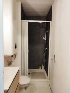 La salle de bains est pourvue d'une douche, de toilettes et d'un lavabo. dans l'établissement Appartement centre port Cap d'Agde, au Cap d'Agde