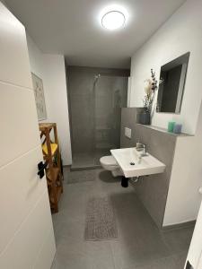 uma casa de banho com um lavatório, um WC e um chuveiro em Wiking Yachthafen - Schleiblick em Schleswig