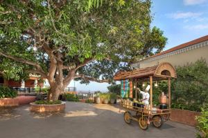 DoubleTree by Hilton Goa - Panaji外面的花园