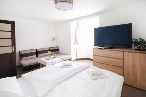 a living room with a bed and a flat screen tv at Pension Clara in Karlovy Vary