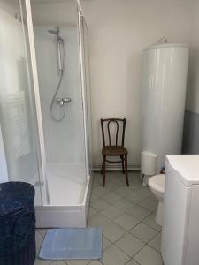a bathroom with a shower and a toilet and a chair at La Petite Fanny in Étretat +3 photos