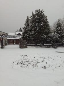 a yard covered in snow with a fence and trees at Nueva Serena in San Carlos de Bariloche