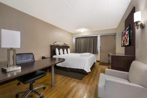 ナッシュビルにあるレッドルーフイン PLUS +ナッシュビルエアポートのベッドとデスクが備わるホテルルームです。