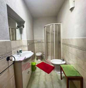 a bathroom with a shower and a sink and a toilet at Casa Renata in Arcidosso