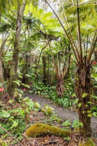 Zahrada ubytování A'a- Hale Kumu Lā'au