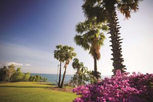 un parque con palmeras y flores rosas en DoubleTree by Hilton Esplanade Darwin, en Darwin
