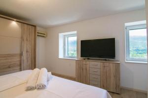 TV a/nebo společenská místnost v ubytování Stone house with pool Ljubica