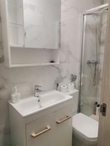 a bathroom with a sink and a shower and a toilet at El Rinconcito Cubano en la playa in Almería