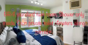 ein Schlafzimmer mit einem Bett und einer grünen Wand in der Unterkunft Ponders End in Shide