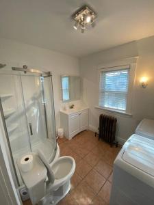 a bathroom with a shower and a toilet and a sink at Beautifully remodeled house 1.5 miles from falls. in Niagara Falls