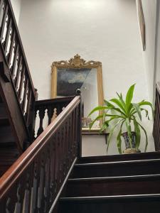a stairway with a mirror and a potted plant at Dhow Palace Hotel in Zanzibar City