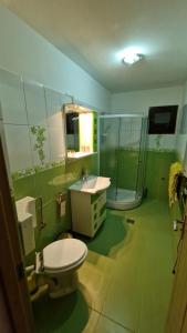 a bathroom with a toilet and a sink and a shower at Dursi Home in Drajna de Sus +44 photos