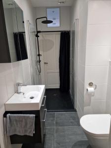 a bathroom with a sink and a toilet and a shower at Guesthouse KST in Zandvoort