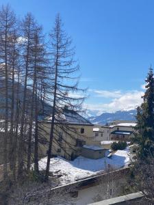 a building with snow on the ground and trees at Villa Bochert in Zuoz