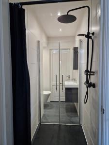 a bathroom with a shower and a sink at Guesthouse KST in Zandvoort