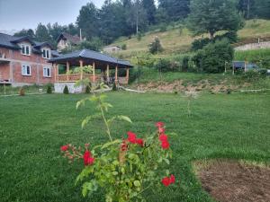 a house with a gazebo in a yard with red flowers at Eka's Village in Plav