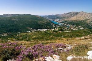 a view of a valley from a mountain with purple flowers at Luxury Villa Lule with private pool near Dubrovnik in Ivanica
