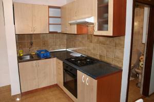 Kuchyňa alebo kuchynka v ubytovaní Apartments and rooms by the sea Nin, Zadar - 5858