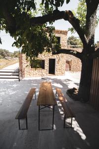 deux bancs en bois assis à côté d'un arbre dans l'établissement CASA RURAL EL PADRONCILLO, à Riópar