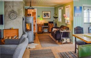 a living room with a couch and a fireplace at Pet Friendly Home In Uvdal With Wifi in Dagali