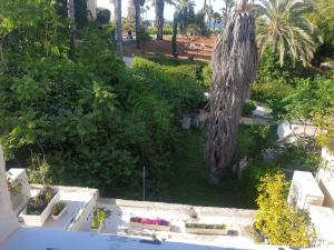 Giardino di Luxury studio at the heart of old Jaffa