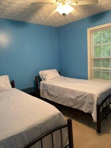 two beds in a room with blue walls at Fortress of Solitude in Powder Springs