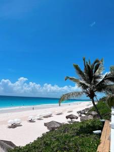 een strand met parasols en een palmboom en de oceaan bij Fig Tree Harbour Island home in Harbour Island