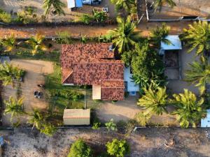 - une vue sur une maison avec des palmiers dans l'établissement Aiden Homestay, à Pasikuda