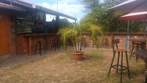 a patio with a bar with chairs and a plant at Hospedaje Vegas in Tarapoto