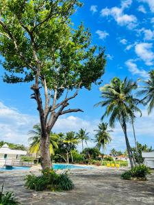 un arbre à côté d'une piscine bordée de palmiers dans l'établissement Beachfront Studio-Waves & Wanderlust Haven, à Mombasa