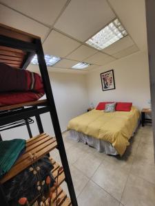烏斯懷亞的住宿－Los Arroyo，一间卧室配有两张双层床。