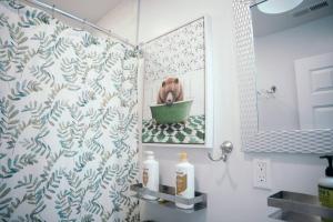 uma casa de banho com um chuveiro e um cão na banheira em Sleek and Cozy Micro Fells Point Residence! em Baltimore