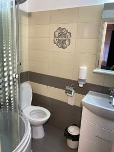 a bathroom with a toilet and a sink at Balkanic Villa Bran in Bran +30 photos