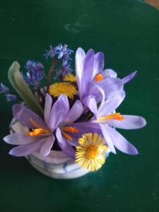 a bouquet of flowers in a bowl on a table at Apartments Holiday Home Srce in Kopaonik