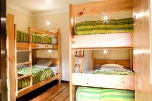 Ένα ή περισσότερα κρεβάτια σε δωμάτιο στο Bear Packer Hostel