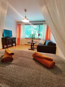 Ruang duduk di Möysä beach apartment