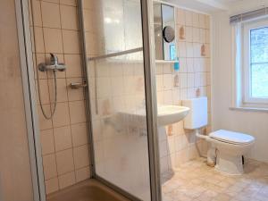 a bathroom with a shower and a toilet and a sink at Ferienhaus Glückauf in Sankt Andreasberg
