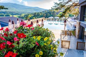 vista sulla piscina di un resort con fiori di Grande Vista Resort & Spa a Tsigov Chark