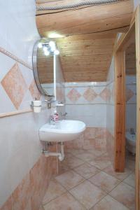 a bathroom with a sink and a mirror at VERDELAGO Appartamenti e CASA CRY in Livigno
