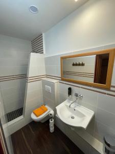 ein Badezimmer mit einem Waschbecken, einem WC und einem Spiegel in der Unterkunft Hotel U Branky in Stříbro