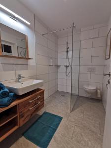 uma casa de banho com um lavatório e uma cabina de duche em vidro. em Feine Bleibe em Eben im Pongau