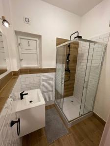 a bathroom with a shower and a white sink at Friendly apartments in Prague in Prague