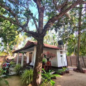 uma pequena casa branca com uma árvore em frente em Sulashika Beach House em Kandakuli