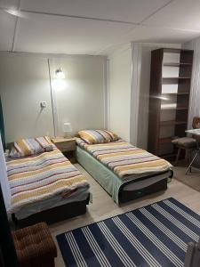 1 dormitorio con 2 camas y alfombra azul en Ośrodek Wczasowy WARMA, en Grudziądz