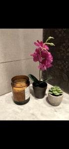 a flower in a jar and a potted plant on a table at Pristigia rabat in Rabat