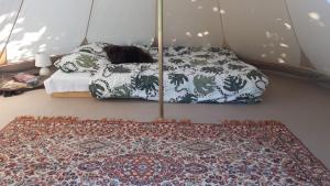a cat sleeping on a bed in a room at Glamping Fluffy Horns - Glempings Pūkainie Ragi in Plieņciems